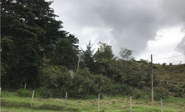 Venta de Lote en el Alto de las Palmas