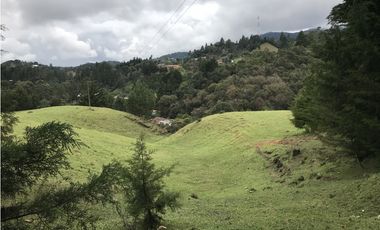 Venta de Lote en el Alto de las Palmas