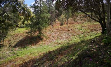 Venta de   Lote en Envigado