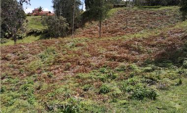 Venta de   Lote en Envigado