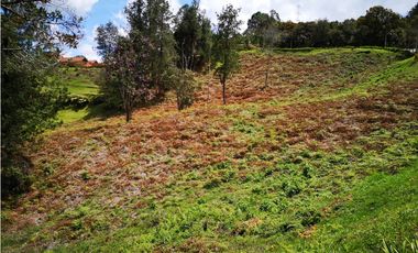 Venta de   Lote en Envigado