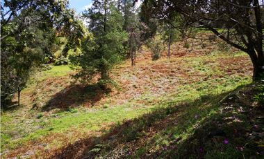 Venta de   Lote en Envigado