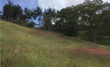 Venta de Lote en La Ceja