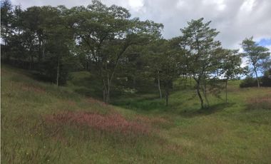 Venta de Lote en La Ceja