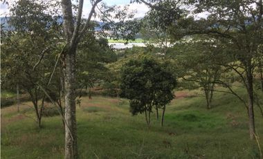 Venta de Lote en La Ceja