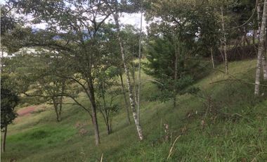 Venta de Lote en La Ceja