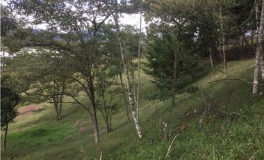 Venta de Lote en La Ceja