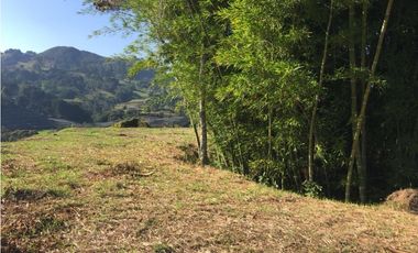 Venta de Lote en La Ceja