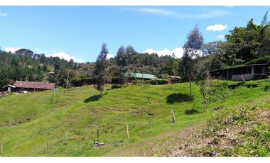 Venta de Finca la vereda Yarumal en Rionegro
