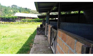 Venta de Finca la vereda Yarumal en Rionegro