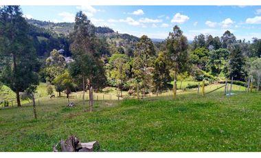 Venta de Finca la vereda Yarumal en Rionegro