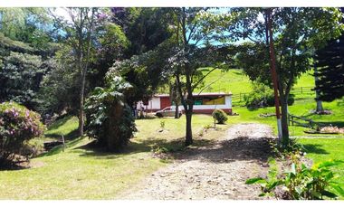 Venta de Finca la vereda Yarumal en Rionegro
