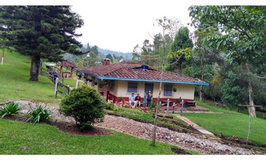 Venta de Finca la vereda Yarumal en Rionegro