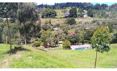 Venta de Finca la vereda Yarumal en Rionegro
