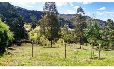 Venta de Finca la vereda Yarumal en Rionegro