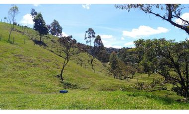 Venta de Finca la vereda Yarumal en Rionegro