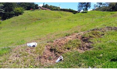 Venta de Finca la vereda Yarumal en Rionegro