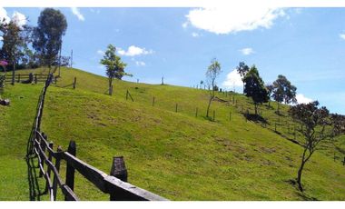 Venta de Finca la vereda Yarumal en Rionegro