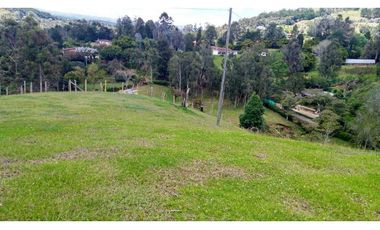 Venta de Finca la vereda Yarumal en Rionegro