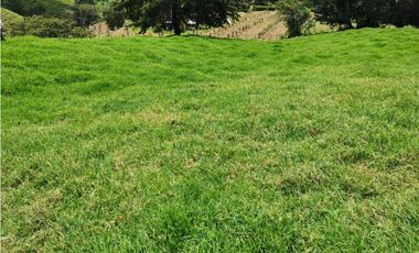 Venta de Lote en Rionegro