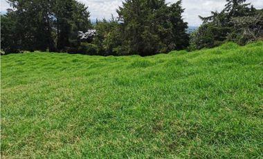 Venta de Lote en Rionegro