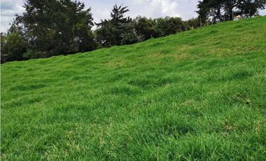 Venta de Lote en Rionegro