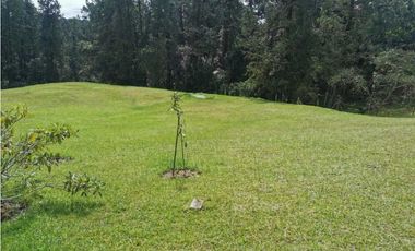 Venta Lote en el Alto de las Palmas