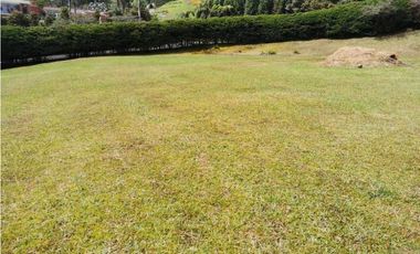 Venta Lote en el Alto de las Palmas