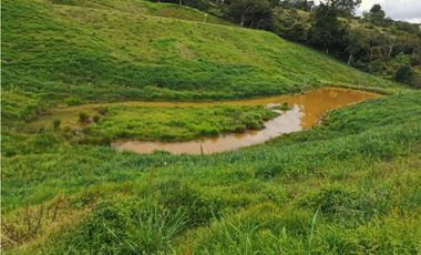 Venta de lote en el Carmen de Viboral