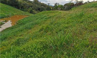 Venta de lote en el Carmen de Viboral