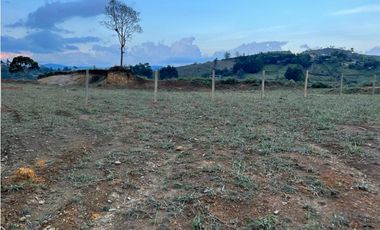 Venta de Lote Industrial en Guarne