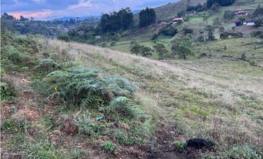 Venta de Lote Industrial en Guarne