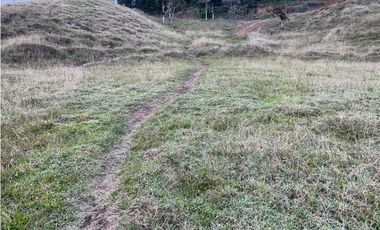 Venta de Lote Industrial en Guarne