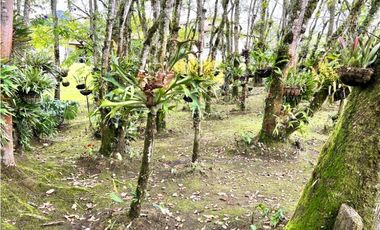 Venta de Finca Campestre en el Carmen de Viboral