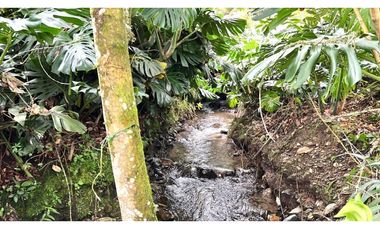 Venta de Finca Campestre en el Carmen de Viboral