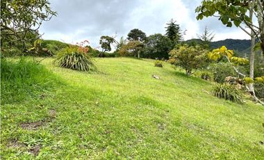 Venta de Finca Campestre en el Carmen de Viboral