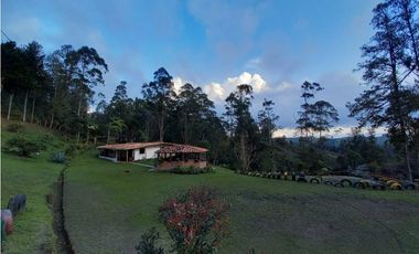 Venta de Finca  Campestre en Marinilla
