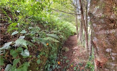 Venta de Lote en Retiro