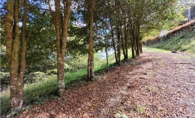 Venta de Lote en Retiro