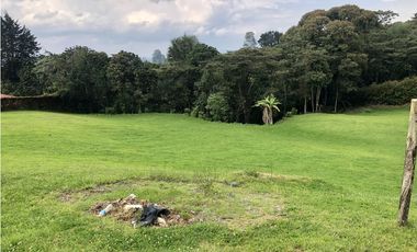 Venta de lote en el Carmen de Viboral