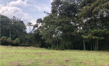 Venta de lote en el Carmen de Viboral