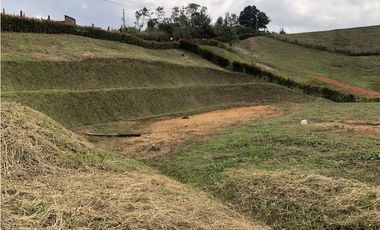 Venta de lote  en el Carmen de Viboral