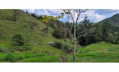 Venta de Lote en el Retiro