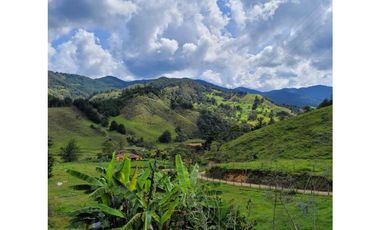 Venta de Lote en el Retiro