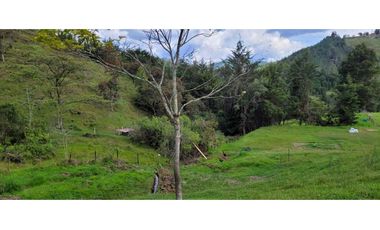 Venta de Lote en el Retiro