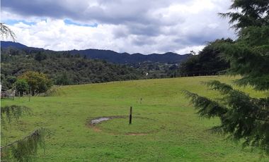 Venta de Lote en el Alto de  Las Palmas