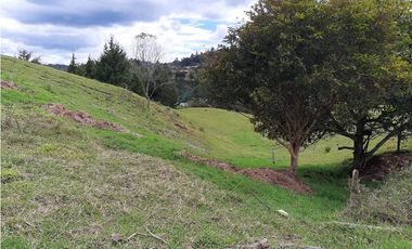 Venta de Lote en el Alto de  Las Palmas