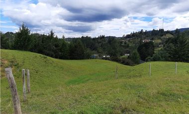 Venta de Lote en el Alto de  Las Palmas