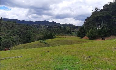 Venta de Lote en el Alto de  Las Palmas