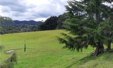 Venta de Lote en el Alto de  Las Palmas